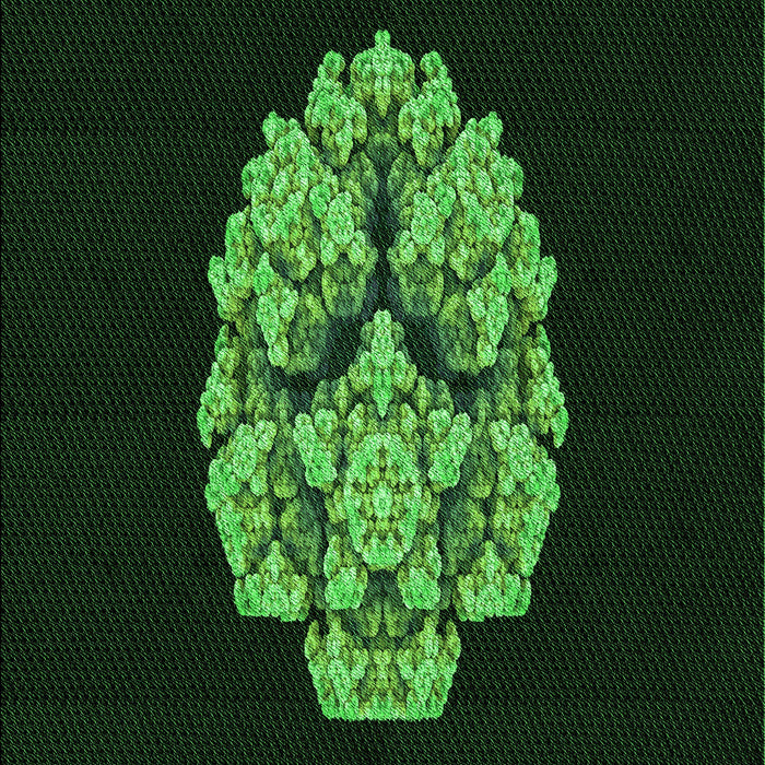 Patterned Black Rug, pat3359grn