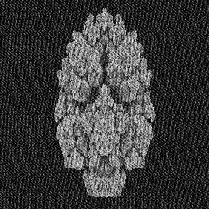 Patterned Black Rug, pat3359gry