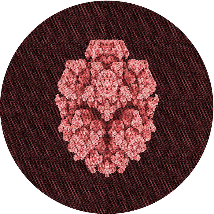 Square Machine Washable Transitional Chocolate Brown Rug in a Living Room, wshpat3359rd