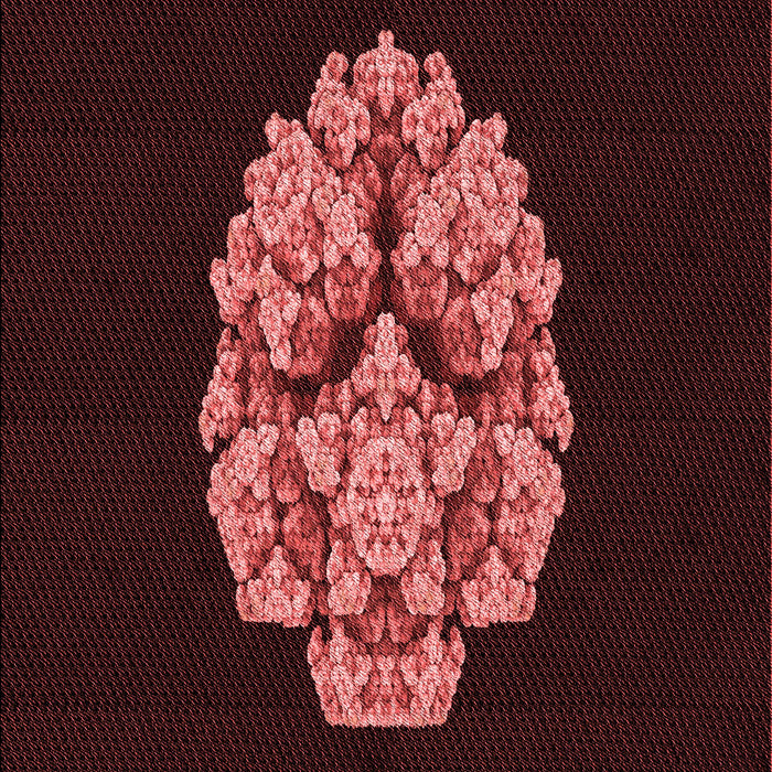 Machine Washable Transitional Chocolate Brown Rug, wshpat3359rd