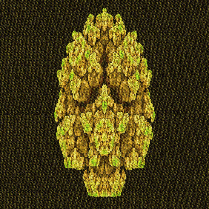 Machine Washable Transitional Oak Brown Rug, wshpat3359yw