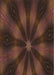 Patterned Sienna Brown Novelty Rug, pat335