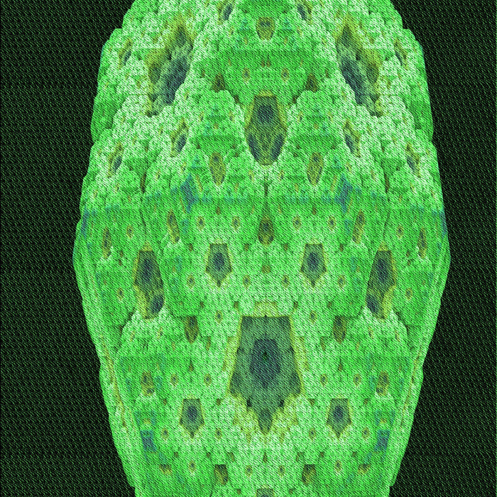 Machine Washable Transitional Dark Forest Green Rug, wshpat3360grn