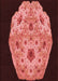 Patterned Red Rug, pat3360rd