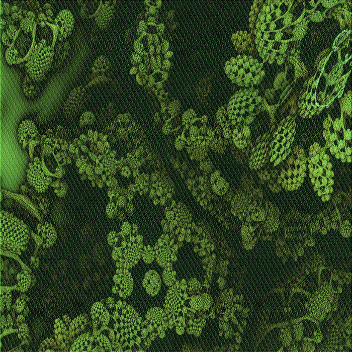 Round Machine Washable Transitional Black Rug, wshpat3362grn