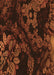 Patterned Mahogany Brown Rug, pat3362org