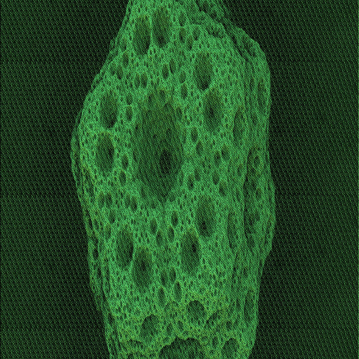 Machine Washable Transitional Green Rug, wshpat3364grn