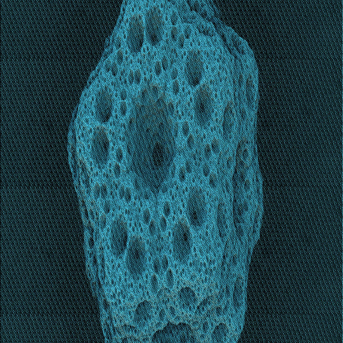 Patterned Dark Cyan Green Rug, pat3364lblu