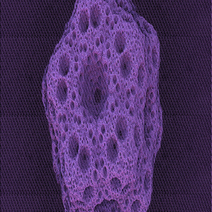 Machine Washable Transitional Deep Purple Rug, wshpat3364pur