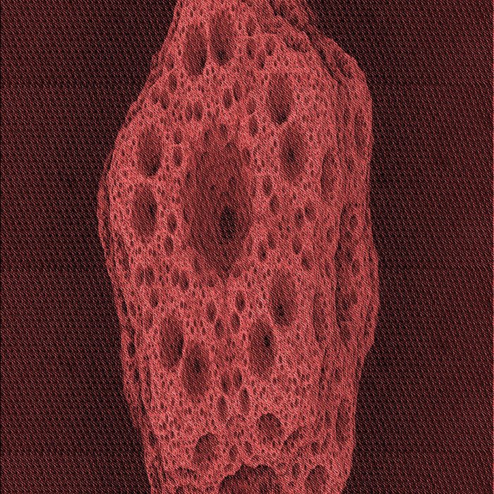 Patterned Red Rug, pat3364rd