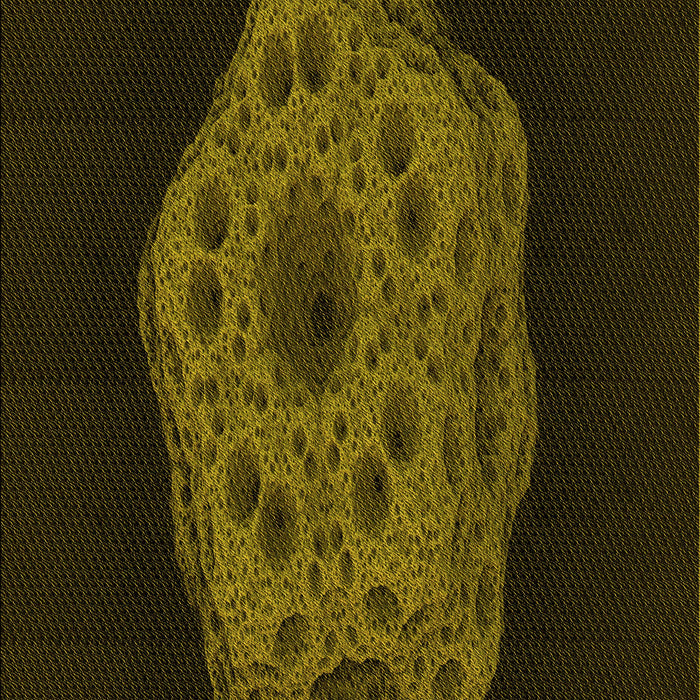 Machine Washable Transitional Dark Bronze Brown Rug, wshpat3364yw