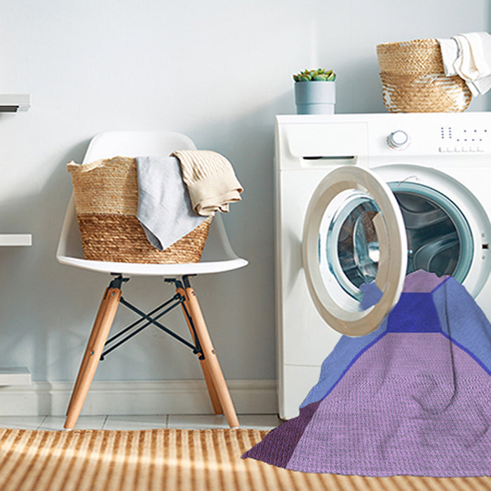 Machine Washable Transitional Purple Mimosa Purple Rug in a Washing Machine, wshpat3366blu