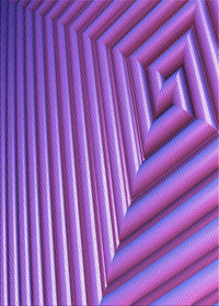 Machine Washable Transitional Purple Rug, wshpat3368pur