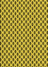 Machine Washable Transitional Yellow Rug, wshpat337yw