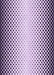 Machine Washable Transitional Purple Rug, wshpat3373pur