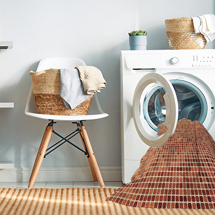 Machine Washable Transitional Red Rug in a Washing Machine, wshpat3375org