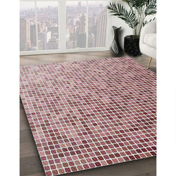 Patterned Brown Red Novelty Rug in Family Room, pat3375