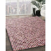 Patterned Brown Red Novelty Rug in Family Room, pat3375