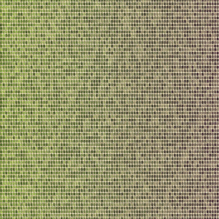 Machine Washable Transitional Ginger Brown Green Rug, wshpat3376brn