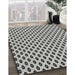 Patterned Light Black Novelty Rug in Family Room, pat337