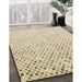 Patterned Vanilla Gold Rug in Family Room, pat3382brn