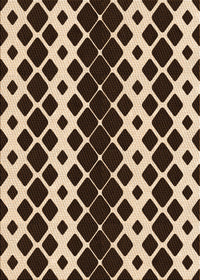 Machine Washable Transitional Black Brown Rug, wshpat3385org