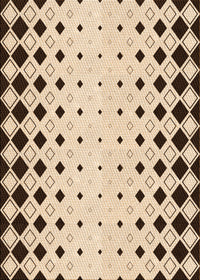 Machine Washable Transitional Sienna Brown Rug, wshpat3387org