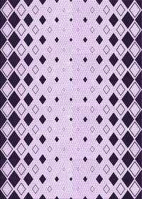 Machine Washable Transitional Purple Violet Purple Rug, wshpat3387pur