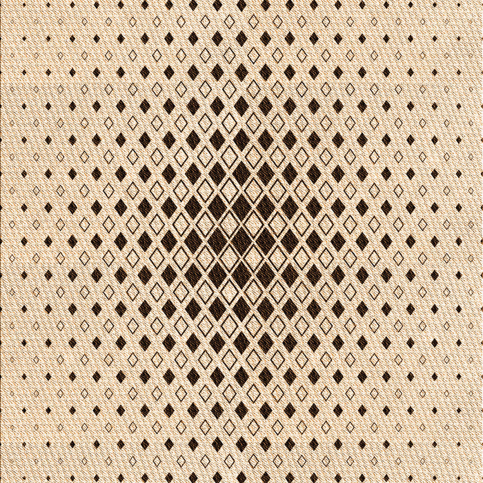 Machine Washable Transitional Bronze Brown Rug, wshpat3389org