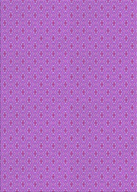 Machine Washable Transitional Purple Rug, wshpat339pur