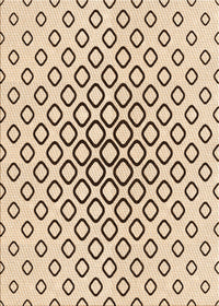 Machine Washable Transitional Copper Brown Rug, wshpat3395org