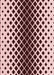 Patterned Pink Rug, pat3396rd