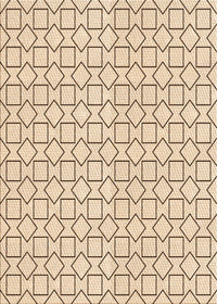 Machine Washable Transitional Peru Brown Rug, wshpat3398org