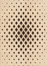 Machine Washable Transitional Bronze Brown Rug, wshpat3399org