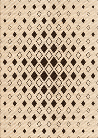 Machine Washable Transitional Copper Brown Rug, wshpat3400org