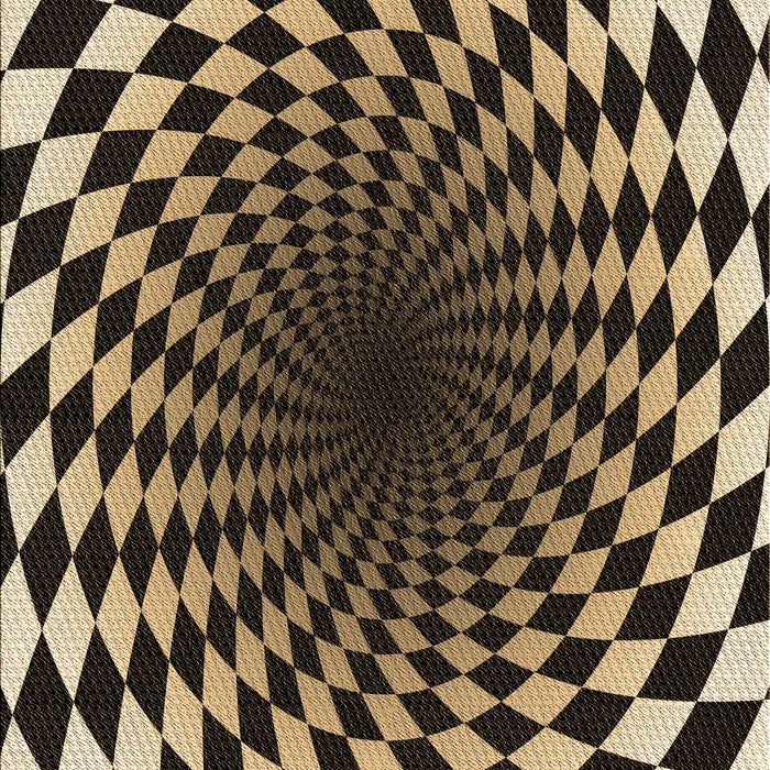 Machine Washable Transitional Brown Sand Brown Rug, wshpat3402brn