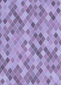 Machine Washable Transitional Bright Lilac Purple Rug, wshpat3405blu