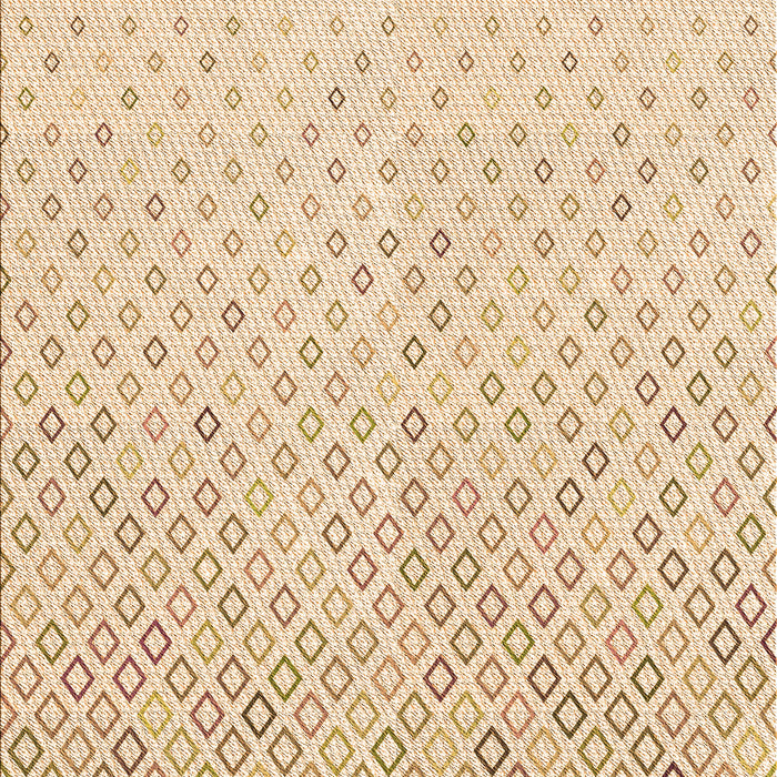 Machine Washable Transitional Brown Sand Brown Rug, wshpat3407org