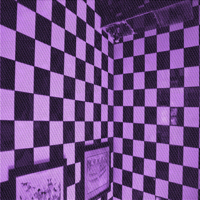 Round Machine Washable Transitional Purple Rug, wshpat3415pur