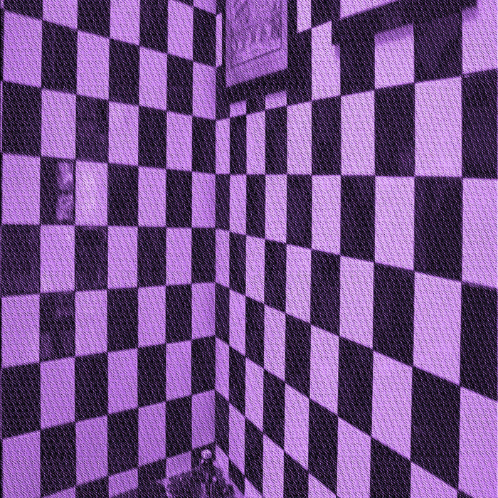 Machine Washable Transitional Purple Rug, wshpat3415pur