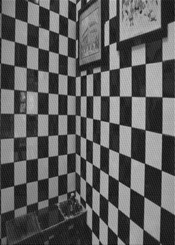 Patterned Dark Gray Novelty Rug, pat3415