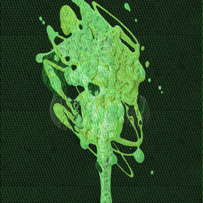 Patterned Black Rug, pat3418grn