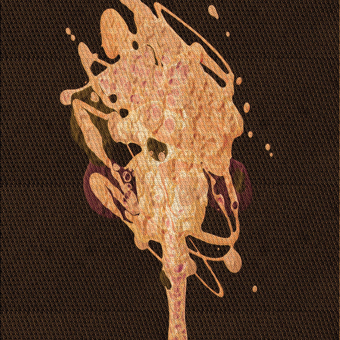 Machine Washable Transitional Saddle Brown Rug, wshpat3418org