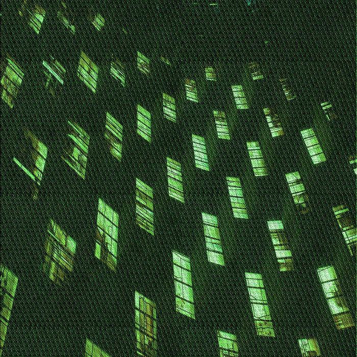 Machine Washable Transitional Green Rug, wshpat3420grn