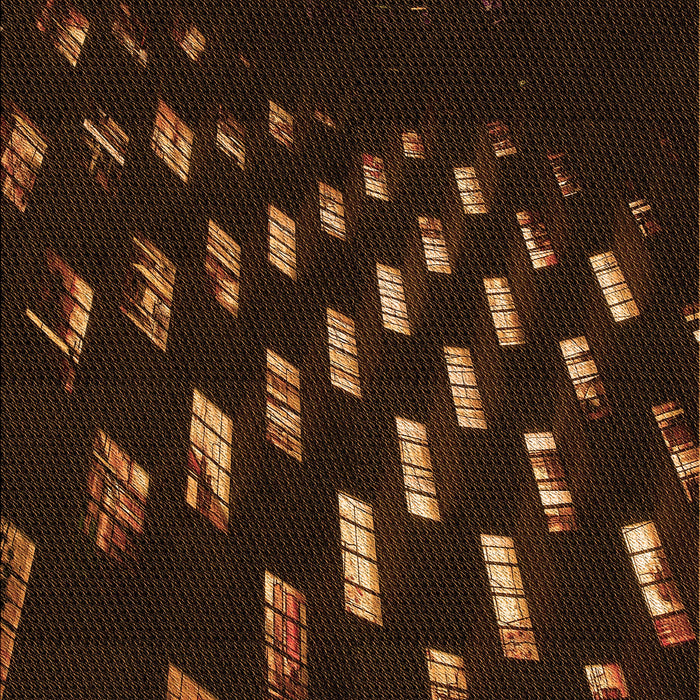 Machine Washable Transitional Saddle Brown Rug, wshpat3420org