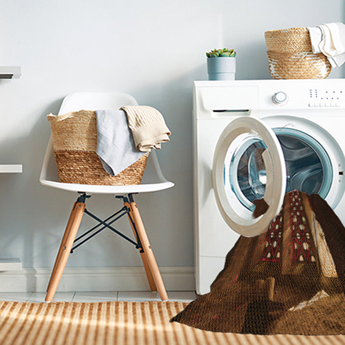 Machine Washable Transitional Mahogany Brown Rug in a Washing Machine, wshpat3421org