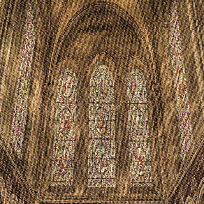 Machine Washable Transitional Cinnamon Brown Rug, wshpat3422brn