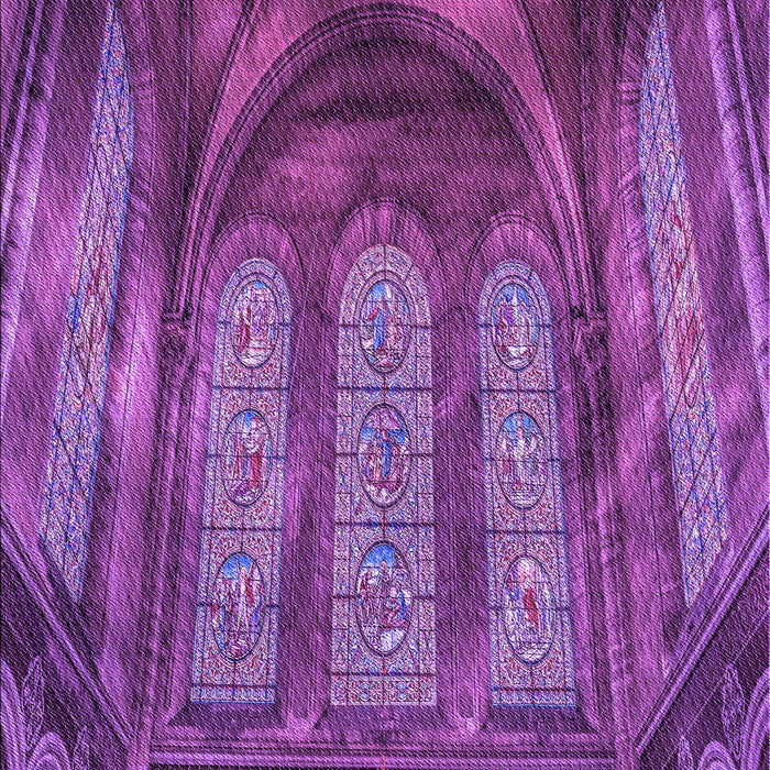 Machine Washable Transitional Dark Magenta Purple Rug, wshpat3422pur