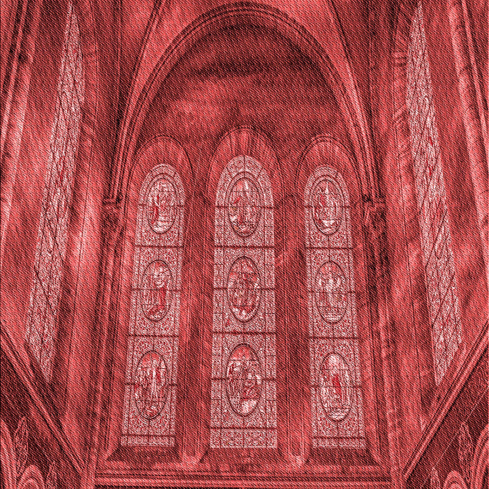 Machine Washable Transitional Orange Rug, wshpat3422rd