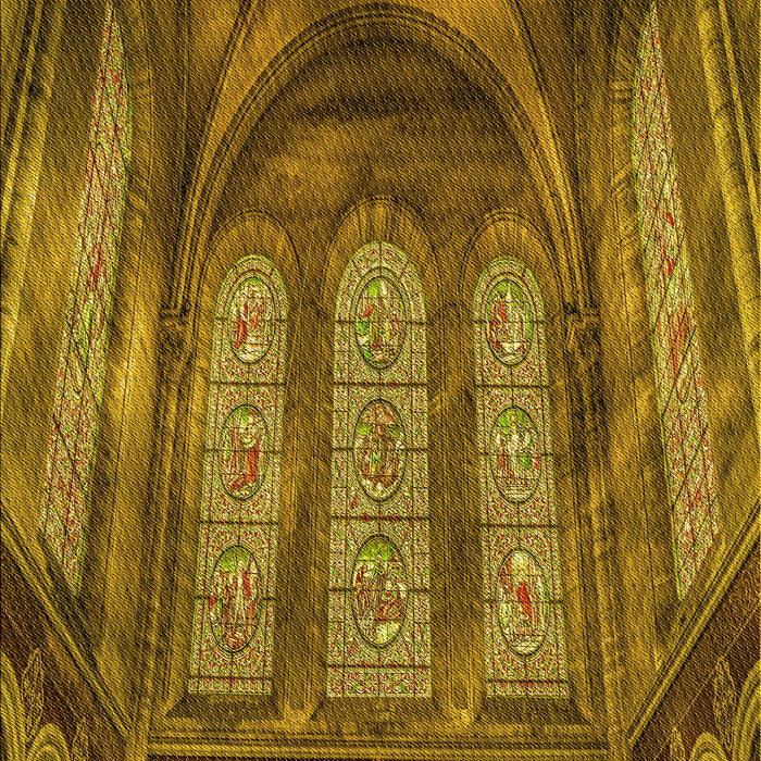 Machine Washable Transitional Dark Bronze Brown Rug, wshpat3422yw